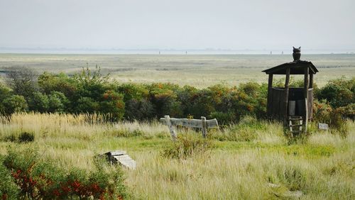 Scenic view of grassy field against sky