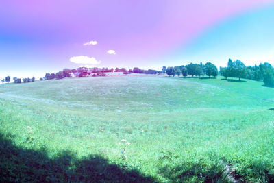 Scenic view of field against sky