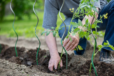 Low section of person working on plant