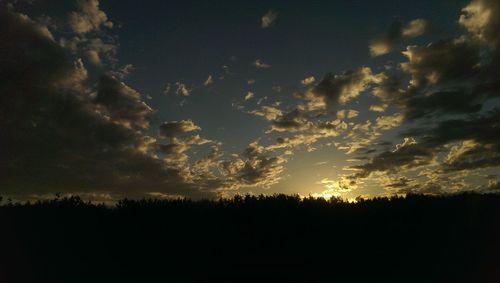 Silhouette of trees on field at sunset