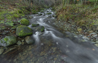 Stream flowing through rocks in forest