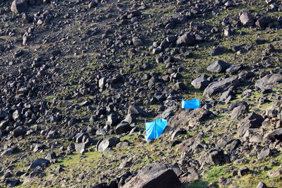 Close-up of blue drying