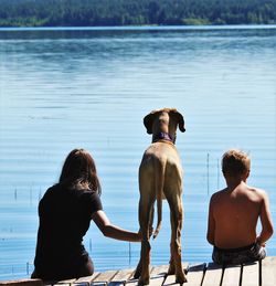 Rear view of siblings with dog on pier over lake