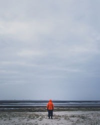 Rear view of man standing against sea at beach