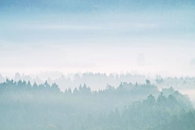 Panoramic shot of trees on landscape against sky