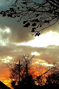 Silhouette of bare tree against cloudy sky