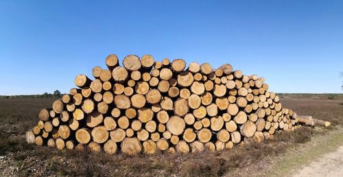 Stack of logs on field in forest against clear sky