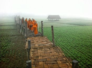 Footpath leading towards trees