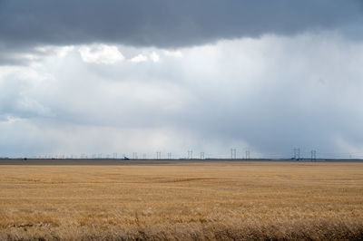 Scenic view of agricultural field against sky