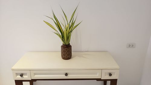 Potted plant on table at home