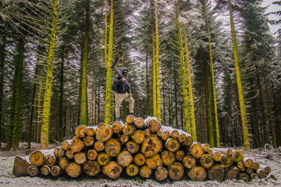 Man with tripod standing on logs against trees