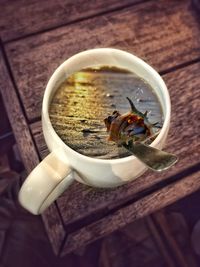 High angle view of insect on table