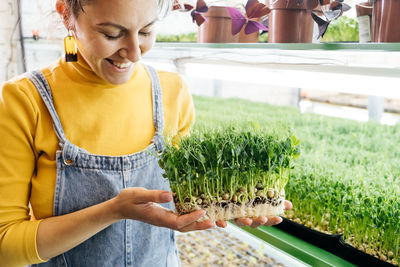 Woman holding box with microgreen, small business indoor vertical farm. close-up of healthy