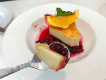 Close-up of dessert served in plate