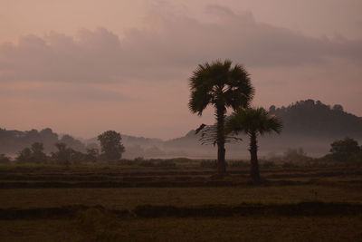 Scenic view of landscape against sky