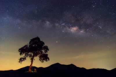 Silhouette trees against sky at night