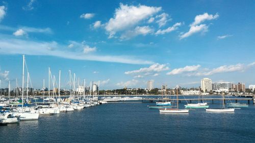 Sailboats moored on sea against blue sky