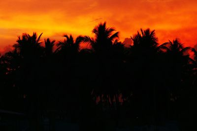 Silhouette trees against orange sky