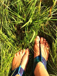 Low section of woman on grass