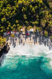 Aerial photo of jungle by beach