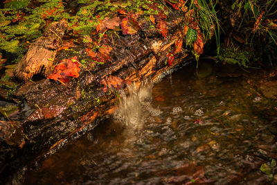 High angle view of flowing water