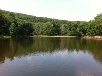 Scenic view of lake in forest against sky