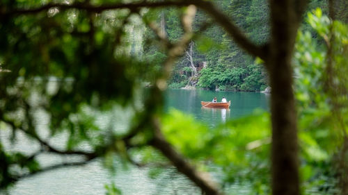 Scenic view of lake amidst trees