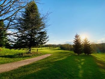 Trees on field against clear sky