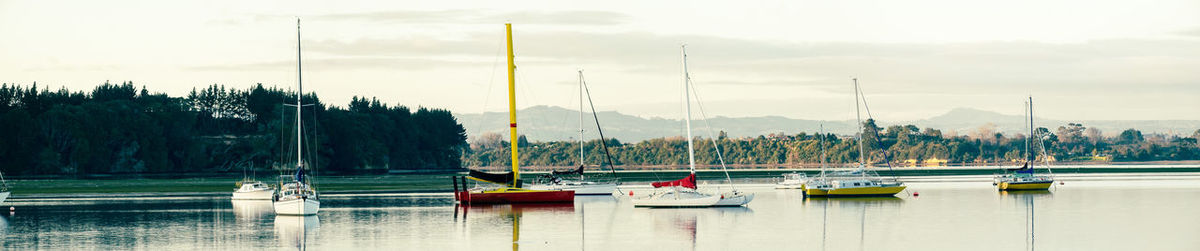 Several boats moored in omokoroa channel. motuhoa island on the left. 