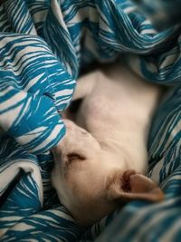 Close-up of baby sleeping in bed