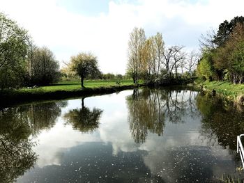 Reflection of trees in lake against sky