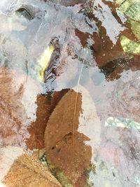 Reflection of rocks in puddle