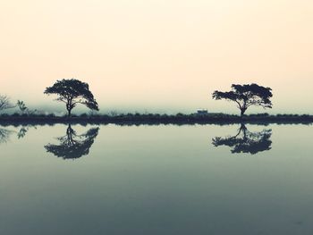 Silhouette tree by lake against sky during sunset