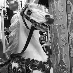 Close-up of carousel at amusement park