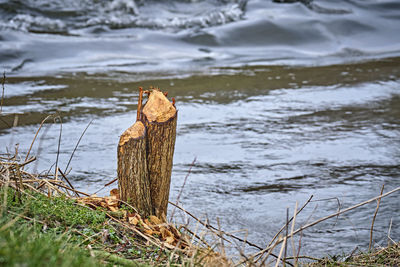 Wooden post in lake