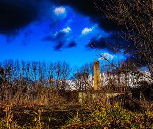 Low angle view of bare trees on field against sky