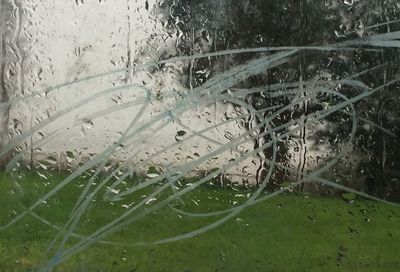 Close-up of water drops on grass