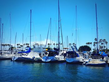 Boats moored at harbor