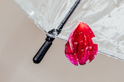 Close up of red umbrella