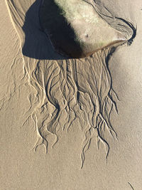 High angle view of natural pattern at beach