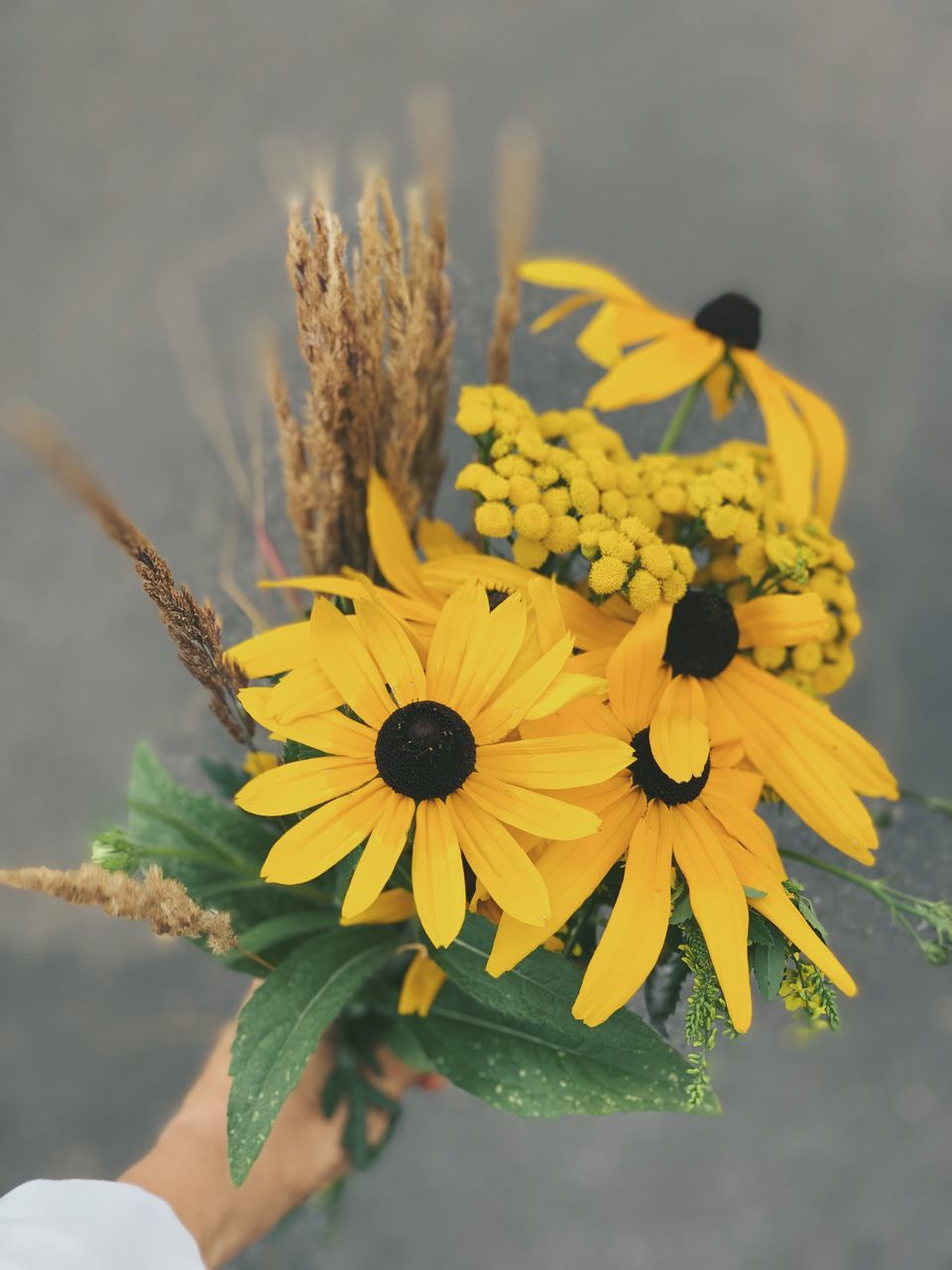 CLOSE-UP OF HAND HOLDING YELLOW FLOWERS