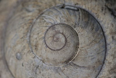 Close-up of old wooden wall