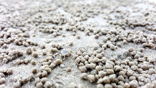 Full frame shot of sand