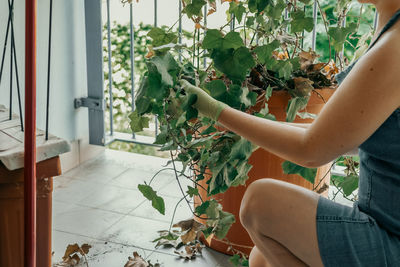 Young woman holding potted plant