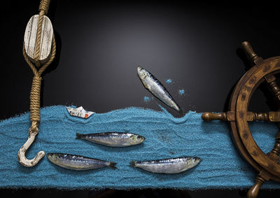 Still life of fish and nautical equipment