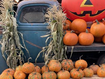 Pumpkins for sale at market stall