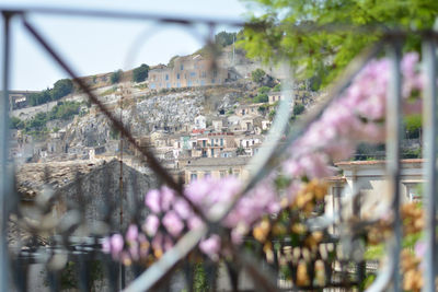 Panoramic view of buildings and bridge in city