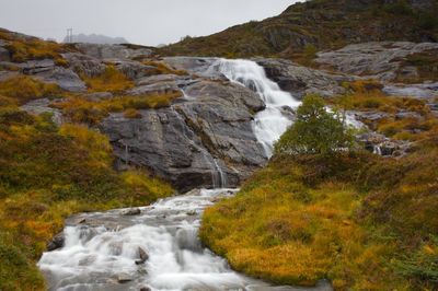 Scenic view of waterfall