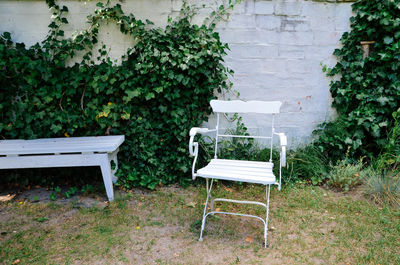 Chair and plants against trees