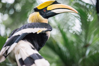 Low angle view of bird against tree